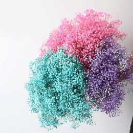 Decorative Flowers Dried Preserved Gypsophila Paniculata Natural Baby's Breath Flower Wedding Marriage Decoration Home Living Room Decor