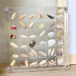 Decorative Plates Acrylic Magnetic Seashell Display Box 36/64 Grids Clear Storage Small Craft Organisers Container