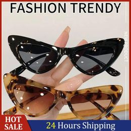Sunglasses Women Fashion Cat Eye Oversized Butterfly Shape Travel Shades Eyewear Design Gradient Colour Sun Glasses