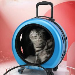 Cat Carriers Fashion Multi-color Pet Bag Go Out Portable Large-capacity Stroller Transparent Trolley For Dog Oversized Suitcase Cart