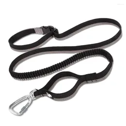 Dog Collars Truelove Running Leash For Jogging Walking Retractable Spring Pet & Leashes Nylon Hand-held Dropship TLL2271