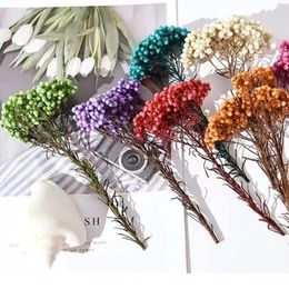 Decorative Flowers 50g Natural Millet Fruit Dried Flower Christmas Decoration 2024 Halloween Wedding Gift For Guest Party