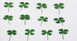 120pcs Pressed Dried Clover Leaf Dry Plants For Epoxy Resin Pendant Necklace Jewelry Making Craft DIY Accessories2523632