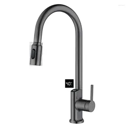 Kitchen Faucets Sink Smart Digital Display Raindance Faucet Multi-function 304 Pull-out