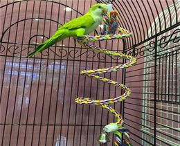 50cm Parrot Toy Rope Braided Parrot Pet Chew Rope Budgie Perch Coil Bird Cage Cockatiel Toy Pet Birds Training Accessories3012625