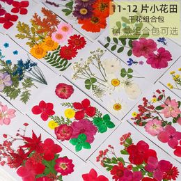 Decorative Flowers 11-12PCS/Pack Dried Pressed Colourful Natural Real Plant Material For DIY Bookmark Resin Jewellery Tools Supplies