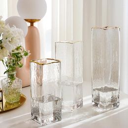 Vases Hydroponic Nordic Glass Vase Aesthetic Gold Luxury Ikebana Modern Small Design Transparent Plant Vasi Home Decor WK50VA