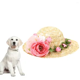 Dog Apparel Hawaii Straw Woven Laces For Dogs Creative Headdress Flower Po