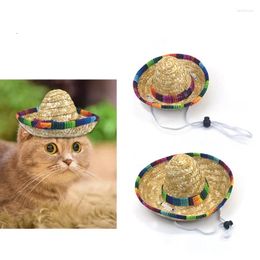 Transportadores de gatos Pet Pet Straw Hat