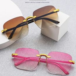 Sunglasses Vintage Square Woman Fashion Retro Sun Glasses Female Eyewear Brand Designer UV400