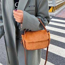 Evening Bags Small Winter Fur Crossbody For Women Warm Plush Women'S Shoulder Bag 2024 Furry Messenger Handbag