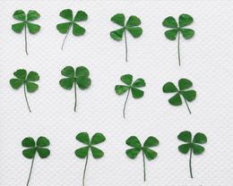 120pcs Pressed Dried Clover Leaf Dry Plants For Epoxy Resin Pendant Necklace Jewelry Making Craft DIY Accessories6675227