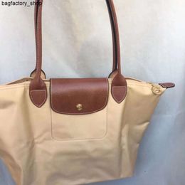 Luxury Handbag Designer Shoulder Bag Crossbody Bag Bag Classic Tote Bag Versatile Folding Bag Womens Handbag Long Handle One Shoulder Dumpling Bag Commuter Bag9BDL