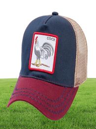 2019 12 Styles Animals Baseball Cap Cotton Breathable Mesh Snapback Caps Unisex Sun Hat For Women Men Hip Hop Dad Hat4982171