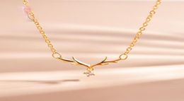 Gold Plated Antler Pendant Fashion Simple Cubic Zirconia Charm Women039s Necklace Luxury Bride Engagement Jewellery Necklaces4004245