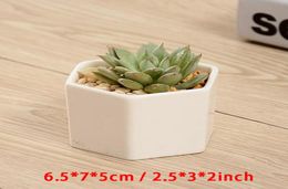 Ceramic Bonsai Pots Whole Mini White Porcelain Flowerpots Suppliers For Seeding Succulent Indoor Home Nursery Planters DBC BH47478722