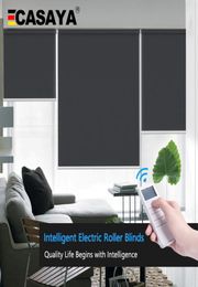 Casaya Customised Motorised blinds Daylight and blackout Electric blinds Rechargeable tubular motor smart blinds for homeOffice T1501465