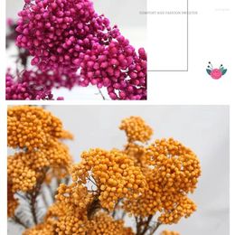 Decorative Flowers 50g Natural Millet Fruit Dried Flower Home Decor Items With Small For Crafts Bridal Wedding Bouquet Gift
