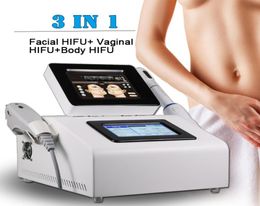 3 in 1 vaginal hifu beauty machine face lifting skin rejuvenation device body slimming beauty salon equipment5252842