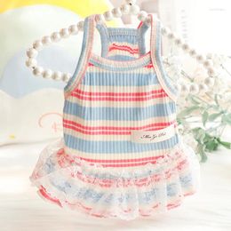 Dog Apparel Pet Clothes Colorful Striped Suspender Dress For Dogs Clothing Cat Small Lace Lacework Princess Chihuahua Products 2024
