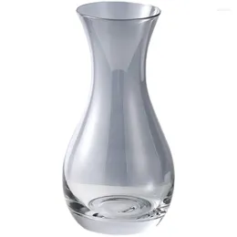 Vases Modern Simple Wind Glass Vase Small Fresh Water Culture Flower Arrangement Living Room Creative Decoration