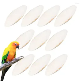 Other Bird Supplies Cockatiel Foraging Toy Natural Cuddle Bone For Small Parrots Cockatiels Budgies Desalted Cage