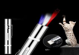 Cat Toys LED Laser Toy USB Rechargeable Funny Chaser Portable Creative Sight Pointer Pen Interactive8945628