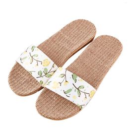 Slippers Crazy For Women Animal Fashion Ladies Cleaning House