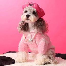 Dog Apparel Clothes Autumn And Winter Pomeranian Schnauzer Maltese Small Body Than The Bear Lapel Embroidery Striped Sweater Girl