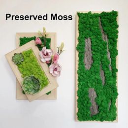Decorative Flowers Artificial Plants Preserved Moss Home Decoration Simulation Plant DIY Craft Landscape Wall Decor Fake Flower For Garden