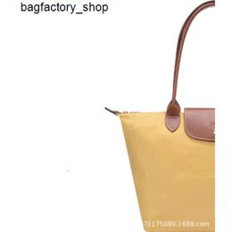 Luxury Handbag Designer Shoulder Bag Crossbody Bag Dumpling Bag Nylon Shoulder Bag Handheld Folding Bag Embroidered Tote Bag Shopping Bag Womens BagTBSD