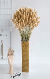 30 Stems Pampas Grass Dried Flower Bunny Tail Natural Plants Floral Rabbit Grass Bouquet Home Decoration Accessories Y11283324140