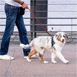 Dog Collars Pet Traction Rope Leash With Comfortable Padded Handle Highly Reflective Durable Sturdy For Small Medium Large