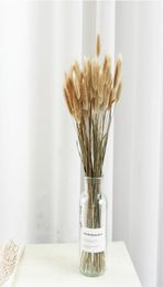 Pampas Grass Thinker 50 Stems Raw Color Dried Rabbit Grass Bouquet Home Weeding Flower Bunny Tail Natural Plants Floral Home Decor7141875