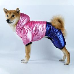 Dog Apparel 2024 Autumn Winter Outdoor Pet Cotton Coat Four Feet Waterproof Snow Proofing Color Warm