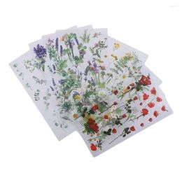 Gift Wrap PET Vintage Plants Flowers Stickers Pack 180 100mm Botanical Journaling Sticker Pressed Flower Themed