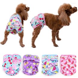 Dog Apparel Reusable Diaper Washable Female Physiological Pant For Small Medium Dogs Waterproof Chihuahua Underwear Pet Shorts XS-XL