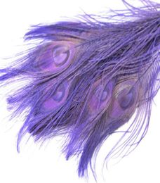 100pcs 1012inch2530cm lavender PEACOCK Feather CRAFTS displayjewelry party event supplies costumes decor6078939