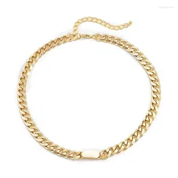 Pendant Necklaces European And American Thick Chain Hip Hop Fashion Necklace Cold Style Clavicle Women's Accessories Spring