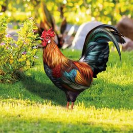 Garden Decorations 2 Pcs Decorative Inserts Patio Outdoor Chicken Yard Rooster Yards Courtyard Acrylic Outside House Decor