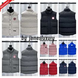 Warm Body Warmer Gillet Mens Gilet Designer Vest Bodywarmer Weste Goose Reporter Healthy Stand Park Gooseberry Awful Have Running Cold ILOQ