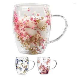 Mugs Dry Flowers Double Wall Glass Cup For Milk Safe And Decorative Insulated High-value Coffee