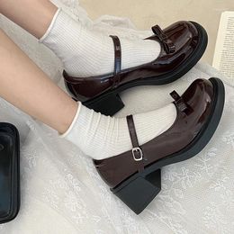 Dress Shoes Vintage High Heels Mary Jane For Women 2024 Patent Leather Platform Pumps Female Bowknot Round Toe Small