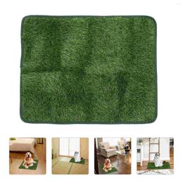 Decorative Flowers Pet Mat Artificial Turf Cage Pee Pad Portable Grass Playing Fake Tpr Baby