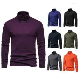 Men's Sweaters 2024 Autumn And Winter Sweater Basic Solid Colour High Collar Woollen Bottom Top Youth Trend