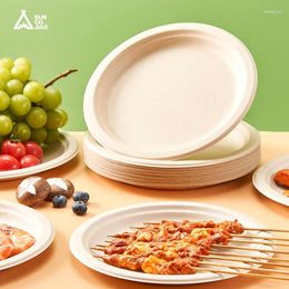 Disposable Dinnerware Suncojia Paper Plate Tableware Waterproof And Oil-proof Biodegradable Disc 30 Pieces