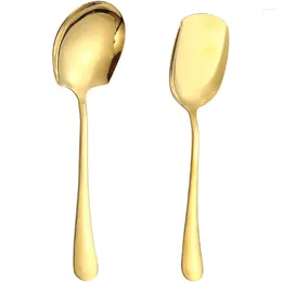 Spoons 2pcs Stainless Steel Spoon Serving Long Handle Restaurant Utensils