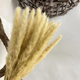 Decorative Flowers Small Pampas Grass Natural Flower Home Decor 15Pcs /Lot 14 Colours For Modern Wedding Office Decoration Head About 20-35cm