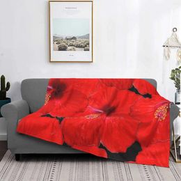 Blankets Beautiful Flowers In Bloom To Celebrate Spring And Summer Blanket Soft Warm Travel Portable Pretty Aesthetics Cottage