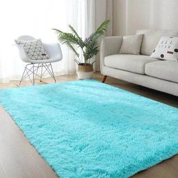 Carpets Worlds Blanket Soft Fluffy Area Rug Modern Bedroom Rugs For Kids Room Nursery Floor